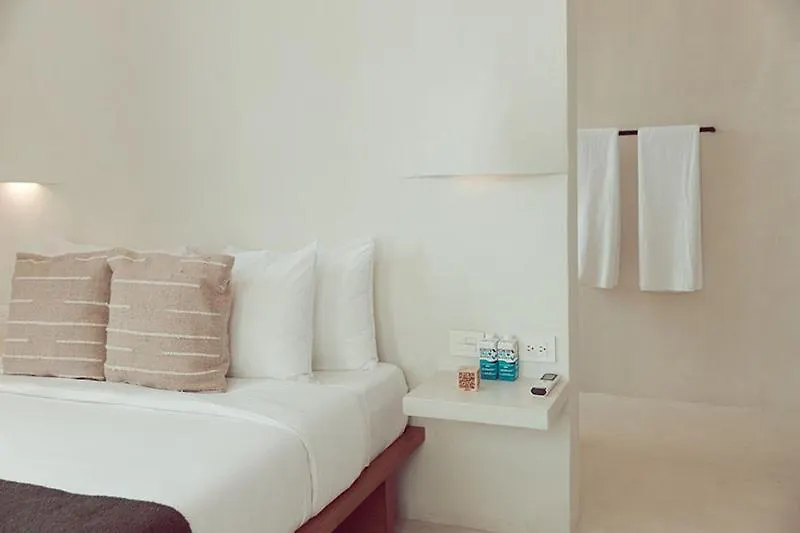 Hotel Lucky Duck Dt Tulum