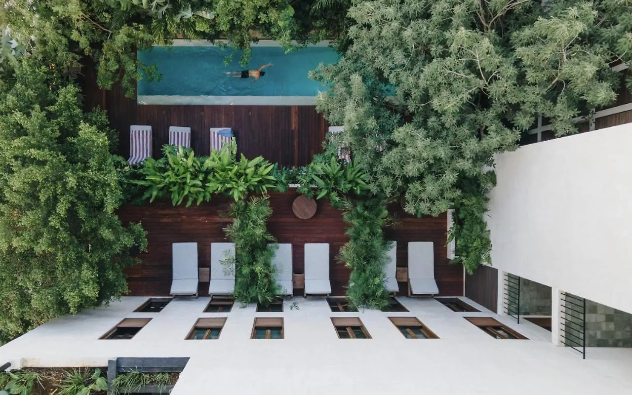 Hotel Lucky Duck Dt Tulum